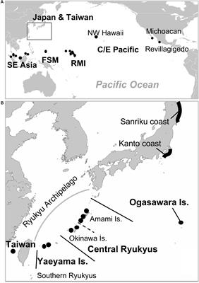 Natal Origin Identification of Green Turtles in the North Pacific by Genome-Wide Population Analysis With Limited DNA Samples